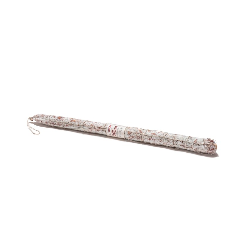 Salami Corallina